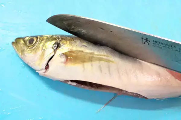 「【アジの塩焼きの極意】初心者でもわかる「さばき方」から「塩の振り方」まで！オクラソースが意外に合うの♡」の画像