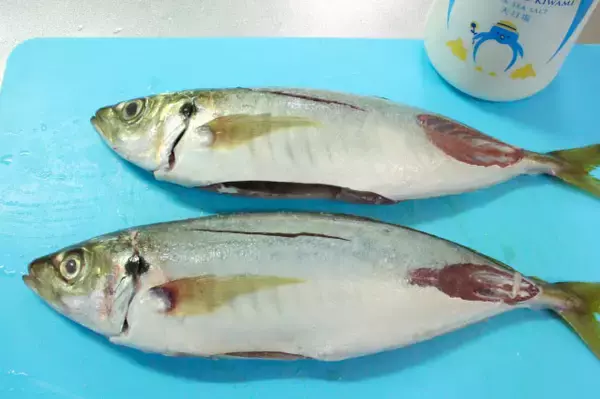 「【アジの塩焼きの極意】初心者でもわかる「さばき方」から「塩の振り方」まで！オクラソースが意外に合うの♡」の画像