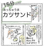 「【こんな手抜きでいいの!?】薄切り肉で作る「ゆるトンカツ」が最高だった！バッター液もズボラ【Ayumiの漫画】」の画像2