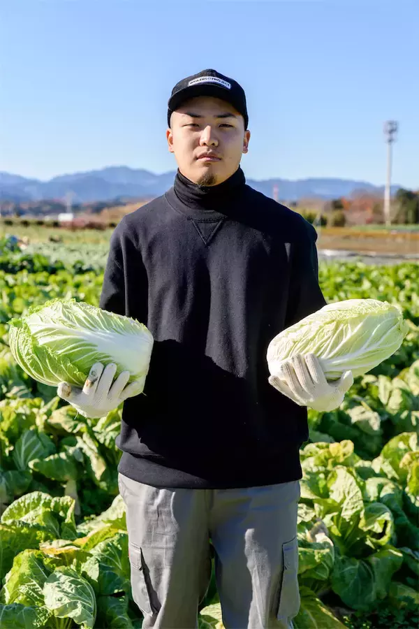 「【農家直伝！白菜レシピ】免疫力爆上げ「白菜のクリーム煮」熱々ソースがトロトロ白菜に絡む～！至極の味わい」の画像