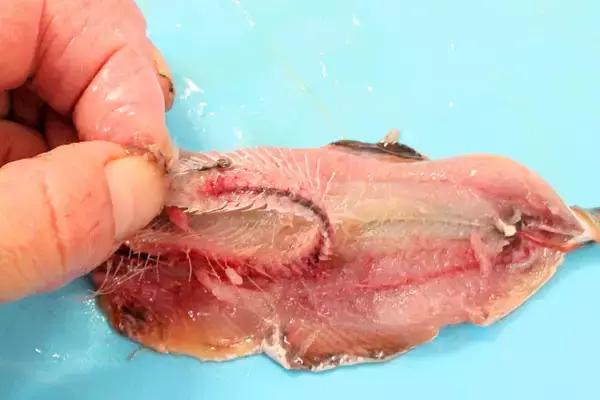 「【イワシは初心者でもさばける】小骨がスルッととれる「手開き」でつみれ作ってみた！中華風スープに合うの♪」の画像