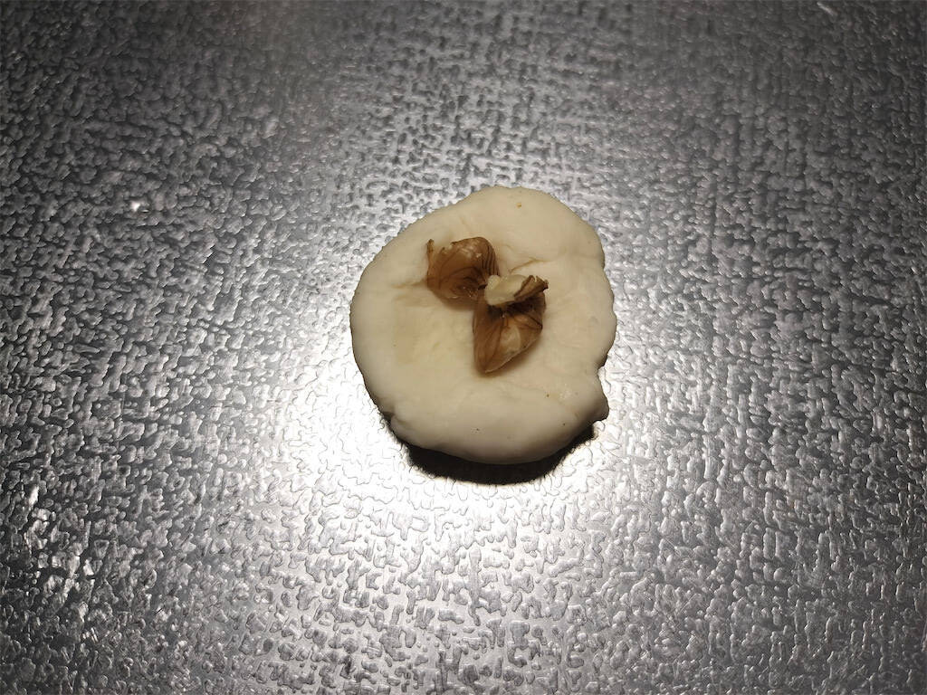 【絶品！郷土メシ】朝ドラ『あまちゃん』の味をおうちで再現！岩手県の「まめぶ」は甘いの？しょっぱいの？