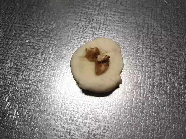 「【絶品！郷土メシ】朝ドラ『あまちゃん』の味をおうちで再現！岩手県の「まめぶ」は甘いの？しょっぱいの？」の画像