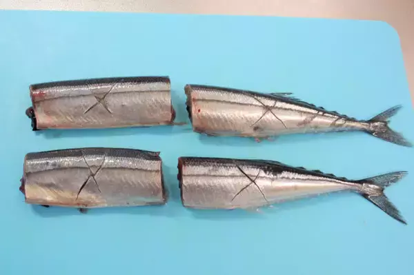 「伊料理の重鎮・原田シェフが【さんまでイタリアン】フレッシュトマトのパン粉焼きに挑戦！肝ソースがキモ♡」の画像