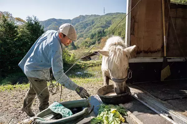 「【田園日記～農と人の物語～ Vol.26】馬との共生に憧れ、家族・仲間と夢をかなえる」の画像