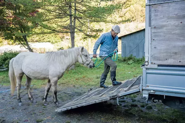「【田園日記～農と人の物語～ Vol.26】馬との共生に憧れ、家族・仲間と夢をかなえる」の画像