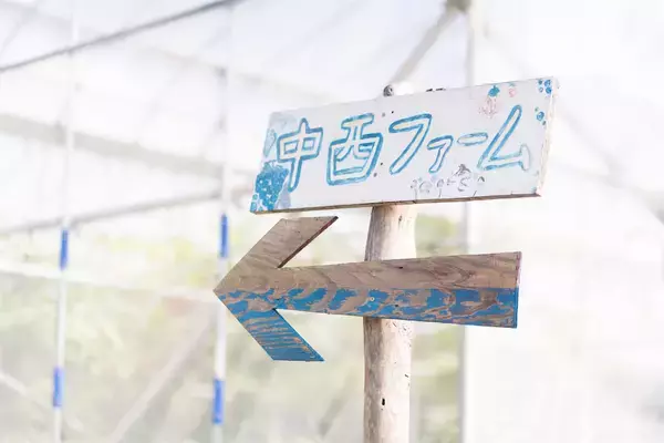 「【生産者インタビュー】江戸時代から続く農家7代目は元芸人⁉「楽しくなきゃ農業じゃない」エンタメ農家に密着！」の画像