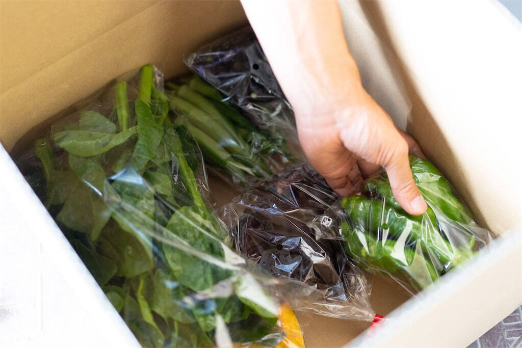 【生産者インタビュー】江戸時代から続く農家7代目は元芸人⁉「楽しくなきゃ農業じゃない」エンタメ農家に密着！