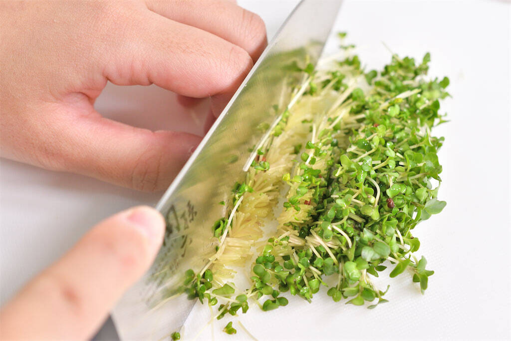 【青髪のテツ】ブロッコリースプラウトは「刻んで放置」が正解！話題の栄養成分を最大限に引き出す裏ワザ