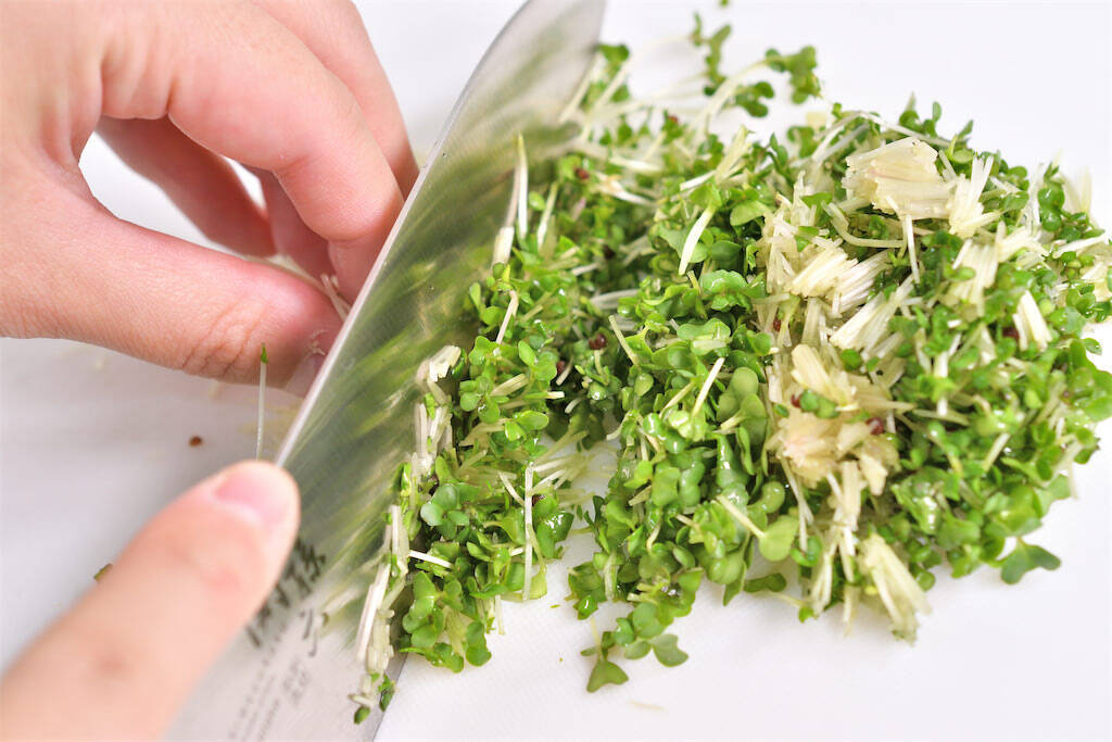 【青髪のテツ】ブロッコリースプラウトは「刻んで放置」が正解！話題の栄養成分を最大限に引き出す裏ワザ