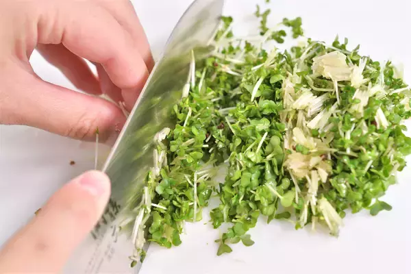 「【青髪のテツ】ブロッコリースプラウトは「刻んで放置」が正解！話題の栄養成分を最大限に引き出す裏ワザ」の画像