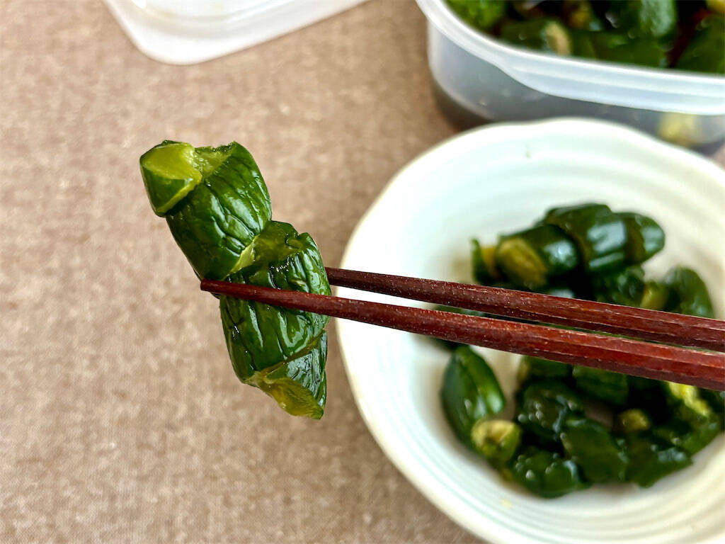 【雷干しで食感パリッパリ】昭和初期の「干しレシピ」で極上のきゅうりの漬け物作ってみた！無限に噛んでたい♪