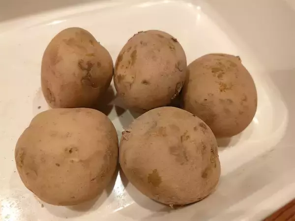 「【一石二鳥】肉じゃがとご飯で「ハイブリッドな炊き込みご飯」作ってみた！煮込まずホクッ【農家直伝】」の画像