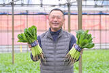 「【生産者インタビュー】小松菜ってじつは伝統野菜なの⁉発祥の地・東京都江戸川区で栽培に励む農家に密着！」の画像1