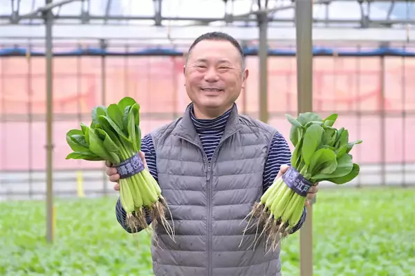 【生産者インタビュー】小松菜ってじつは伝統野菜なの⁉発祥の地・東京都江戸川区で栽培に励む農家に密着！