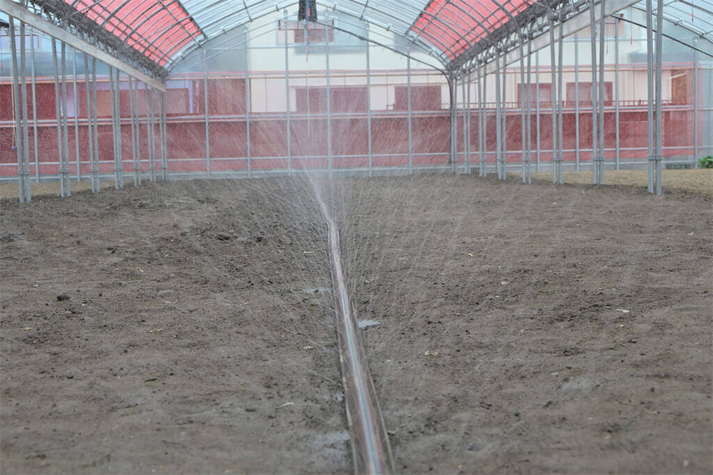 【生産者インタビュー】小松菜ってじつは伝統野菜なの⁉発祥の地・東京都江戸川区で栽培に励む農家に密着！