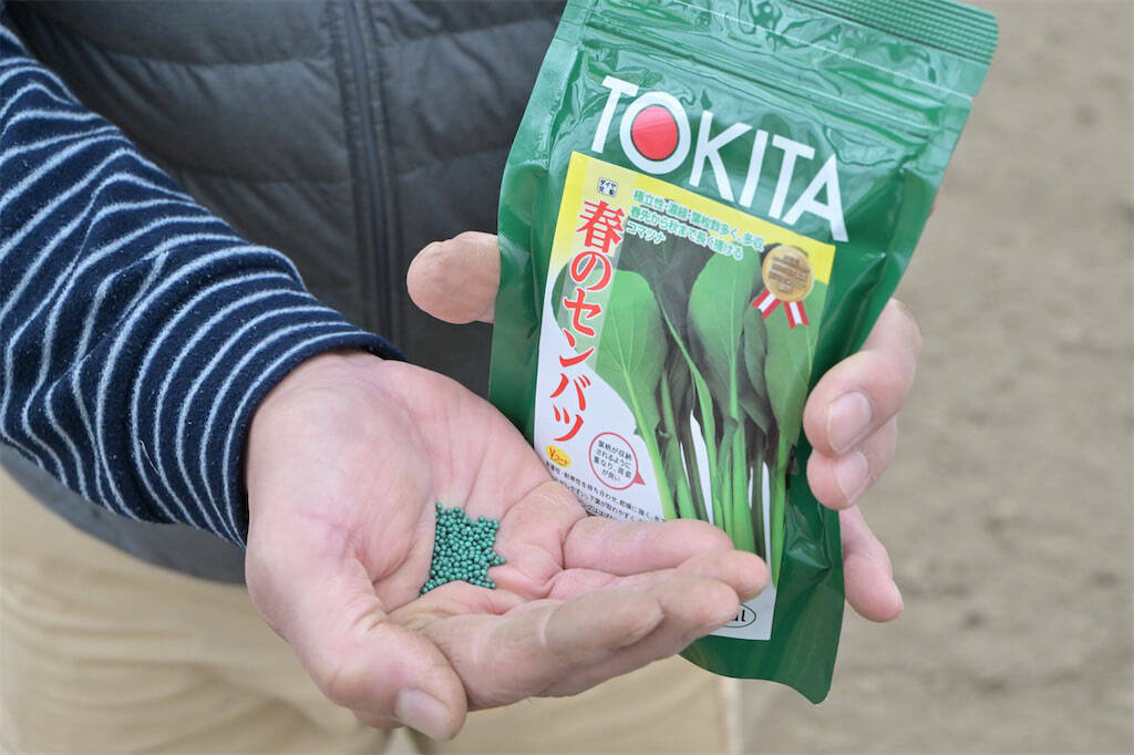 【生産者インタビュー】小松菜ってじつは伝統野菜なの⁉発祥の地・東京都江戸川区で栽培に励む農家に密着！