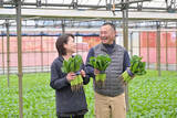 「【生産者インタビュー】小松菜ってじつは伝統野菜なの⁉発祥の地・東京都江戸川区で栽培に励む農家に密着！」の画像25