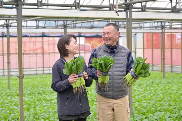 「【生産者インタビュー】小松菜ってじつは伝統野菜なの⁉発祥の地・東京都江戸川区で栽培に励む農家に密着！」の画像