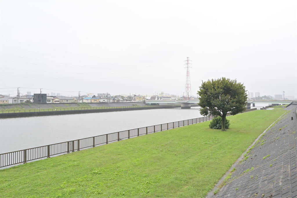 【生産者インタビュー】小松菜ってじつは伝統野菜なの⁉発祥の地・東京都江戸川区で栽培に励む農家に密着！