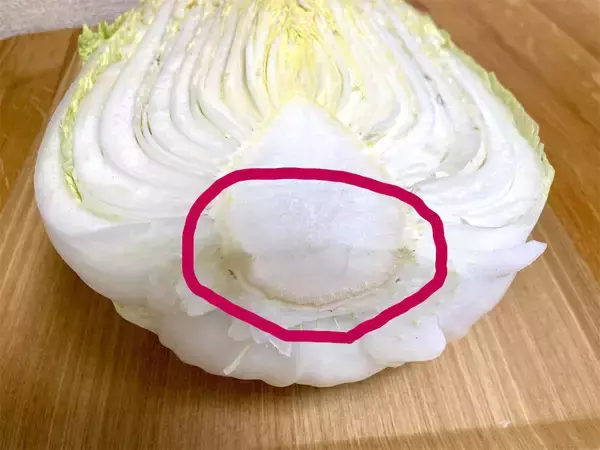 「【カット白菜の選び方】「切り口のサイズ」「成長点の向き」…そして「謎の黒い点々」の正体は⁉実は良い物の証」の画像