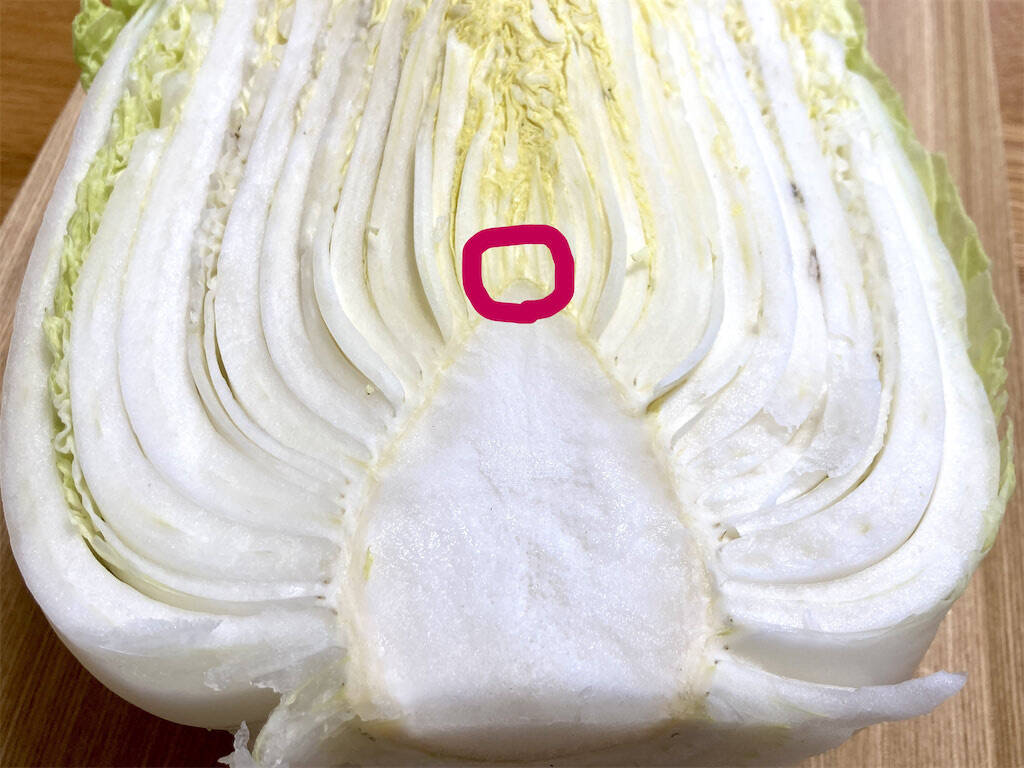 【カット白菜の選び方】「切り口のサイズ」「成長点の向き」…そして「謎の黒い点々」の正体は⁉実は良い物の証