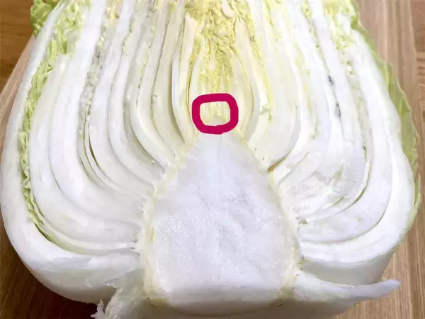 「【カット白菜の選び方】「切り口のサイズ」「成長点の向き」…そして「謎の黒い点々」の正体は⁉実は良い物の証」の画像