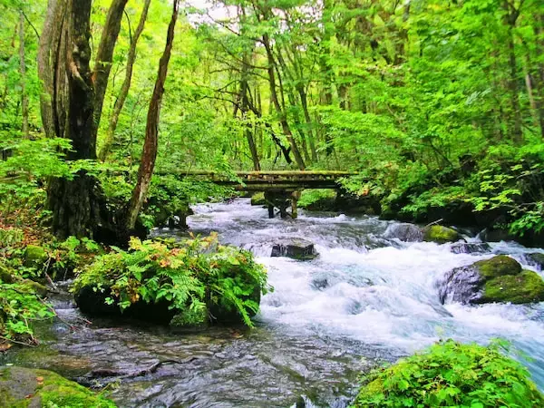 【水難事故】川遊びの注意点と対策！実は事故が起きやすい“魔の時間帯”があるんです…その理由とは