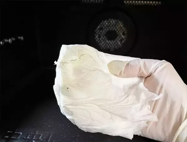 「【灰から洗剤ができるって本当？】森の恵み「木灰」をお湯に混ぜるだけ！油脂汚れつるん♪【三ツ矢青空たすき】」の画像