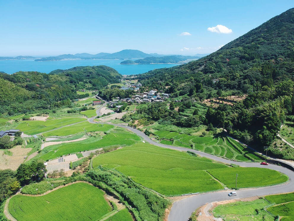 【灰から洗剤ができるって本当？】森の恵み「木灰」をお湯に混ぜるだけ！油脂汚れつるん♪【三ツ矢青空たすき】