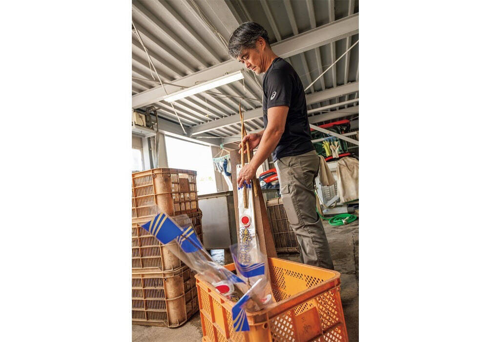 【田園日記～農と人の物語～ Vol.20】砂地ですくすく育つ、白くて甘～い「連島ごぼう」