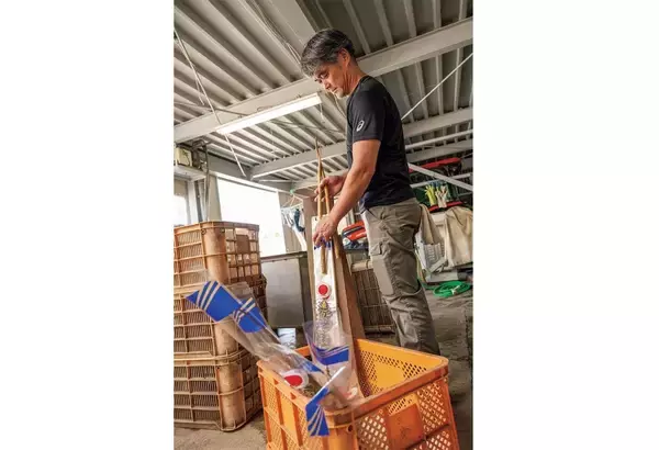 「【田園日記～農と人の物語～ Vol.20】砂地ですくすく育つ、白くて甘～い「連島ごぼう」」の画像