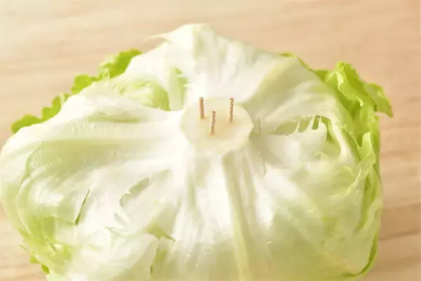 「【農家直伝】レタスは真っ二つで焼くのが至高！「ごろっとレタスのグリル」生＆加熱の旨味ダブルで堪能♡」の画像