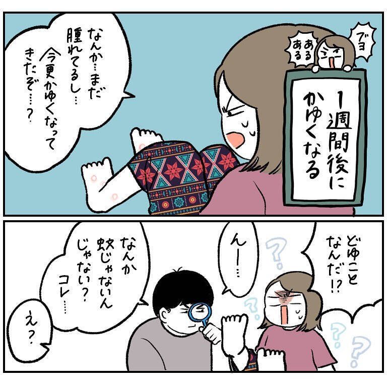 【ヤバい虫の悪夢②】虫に刺されたけど全然かゆくな～い♪放置した結果…現れし症状とは!?【momo漫画】