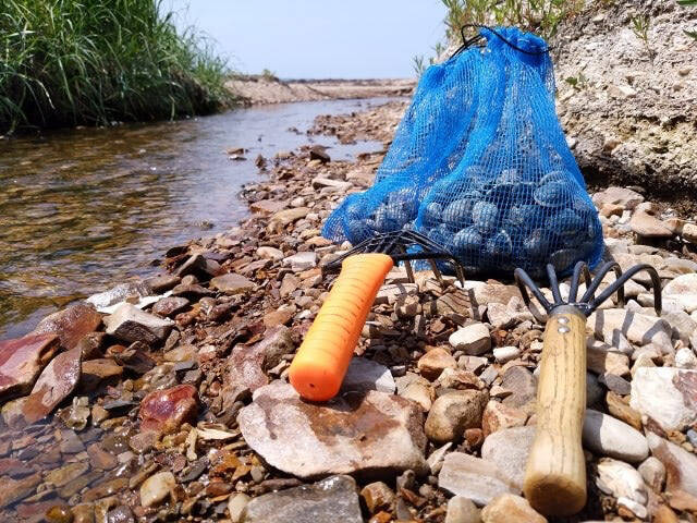 「熊本産アサリ」が外国産だった！なぜこんなことが起きたの？国産の見分け方は？【偽装問題の詳細】