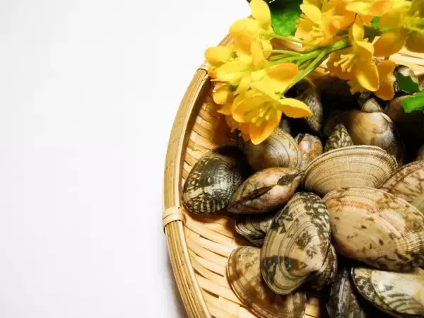 「「熊本産アサリ」が外国産だった！なぜこんなことが起きたの？国産の見分け方は？【偽装問題の詳細】」の画像