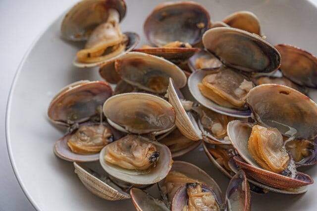 「熊本産アサリ」が外国産だった！なぜこんなことが起きたの？国産の見分け方は？【偽装問題の詳細】