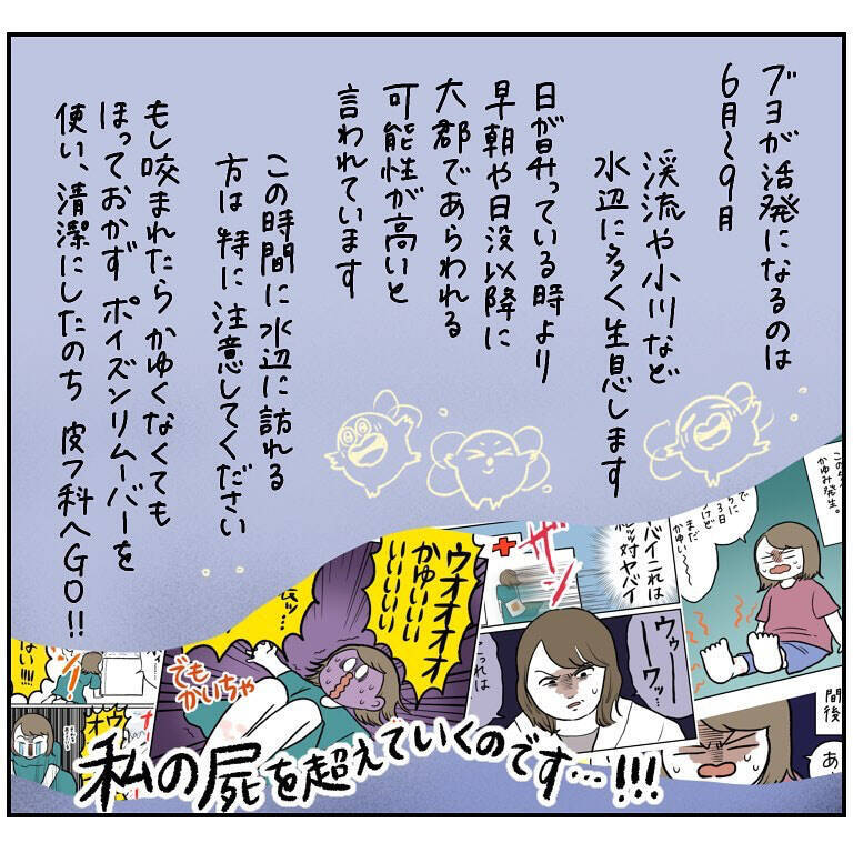【ヤバい虫の悪夢⑩】受診時間「15秒」で大騒動も完結！ブヨによって心に刻まれた神話とは？【momo漫画】