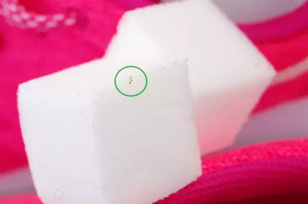 「【じゃない使い方】セリアの掃除グッズ「メラミンスポンジ」をスニーカー洗いに使ってみた！【洗濯のプロ直伝】」の画像