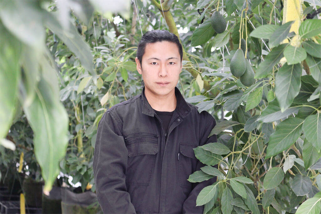 【生産者インタビュー】ビジュアル系バンドから農家に転身!?希少な国産アボカドを雪国で栽培するワケとは？