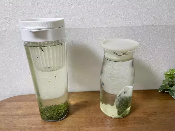 「【老舗お茶屋考案】今が旬♪「新茶」を急須ナシでおいしく淹れる方法は…「え、キッチンペーパーで⁉」冷茶もOK！」の画像