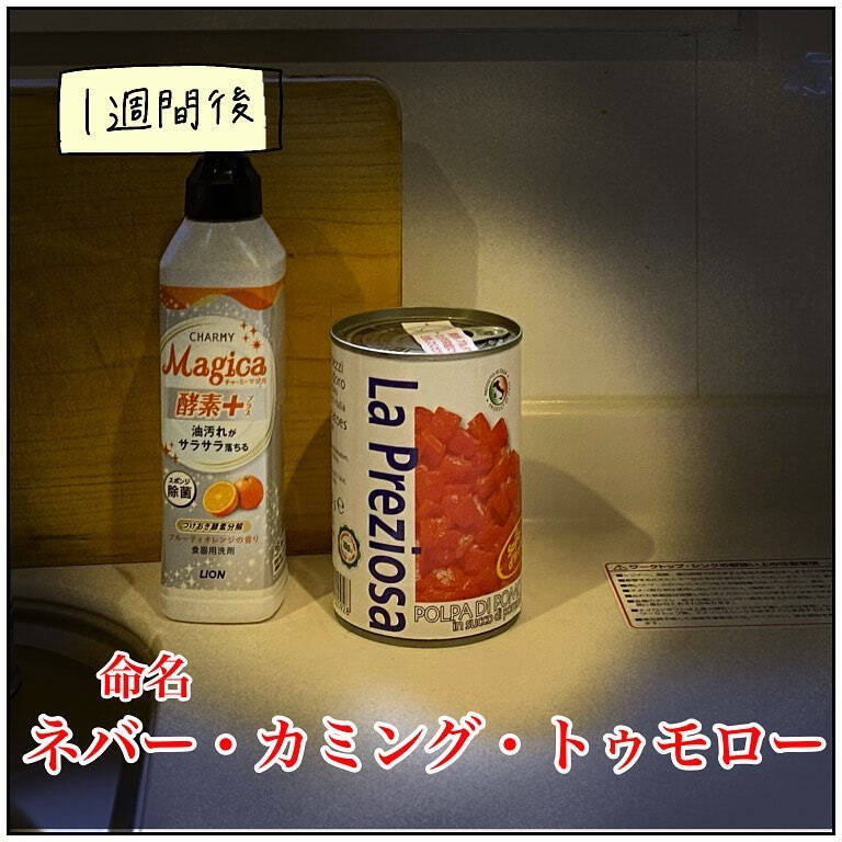 【缶詰あるある】賞味期限「ちょい過ぎ」がクセもの!?捨てられない・でも使わないジレンマとは【momoの漫画】
