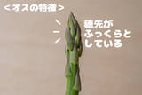 「【野菜クイズ】「アスパラってオスとメスがあるってご存じ？」え、性別によって味が違うって⁉【青髪のテツ】」の画像5