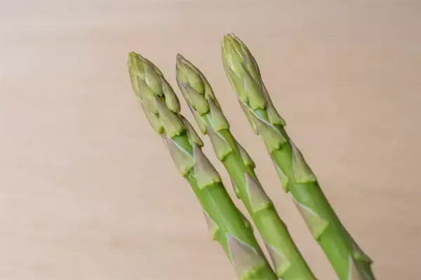 「【野菜クイズ】「アスパラってオスとメスがあるってご存じ？」え、性別によって味が違うって⁉【青髪のテツ】」の画像