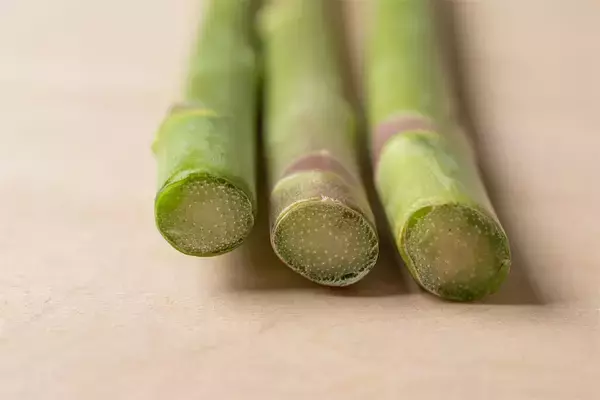 「【野菜クイズ】「アスパラってオスとメスがあるってご存じ？」え、性別によって味が違うって⁉【青髪のテツ】」の画像