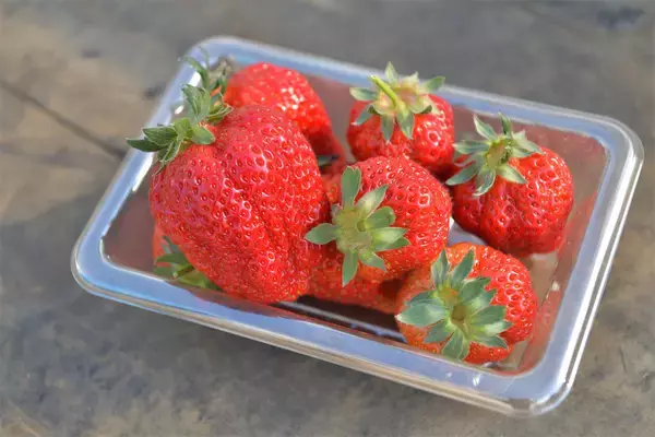 「【いちごの選び方！農家直伝】きれいな形のものより、ゴツゴツ台形の“コワオモテいちご”が甘～いって本当⁉」の画像