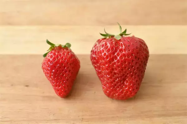 「【いちごの選び方！農家直伝】きれいな形のものより、ゴツゴツ台形の“コワオモテいちご”が甘～いって本当⁉」の画像