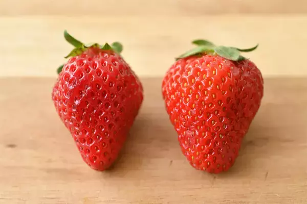 「【いちごの選び方！農家直伝】きれいな形のものより、ゴツゴツ台形の“コワオモテいちご”が甘～いって本当⁉」の画像