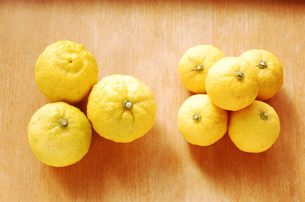 【ゆずの賢い冷凍術】なんと3か月保存可能！旬を過ぎても香り楽しめるよ♪ヒケツは「皮と果汁を分けておく」