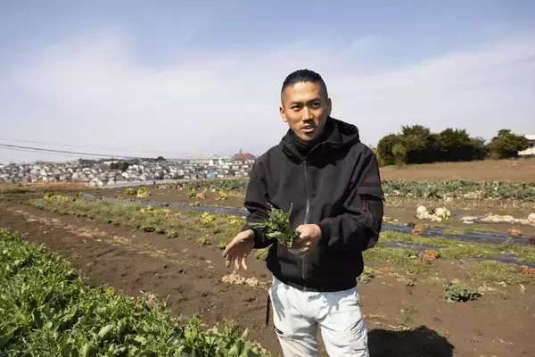 「【農家直伝！珍しい野菜のトリセツ】「のらぼう菜」って何？ビタミンCはほうれん草の2倍！その味や特徴は？」の画像